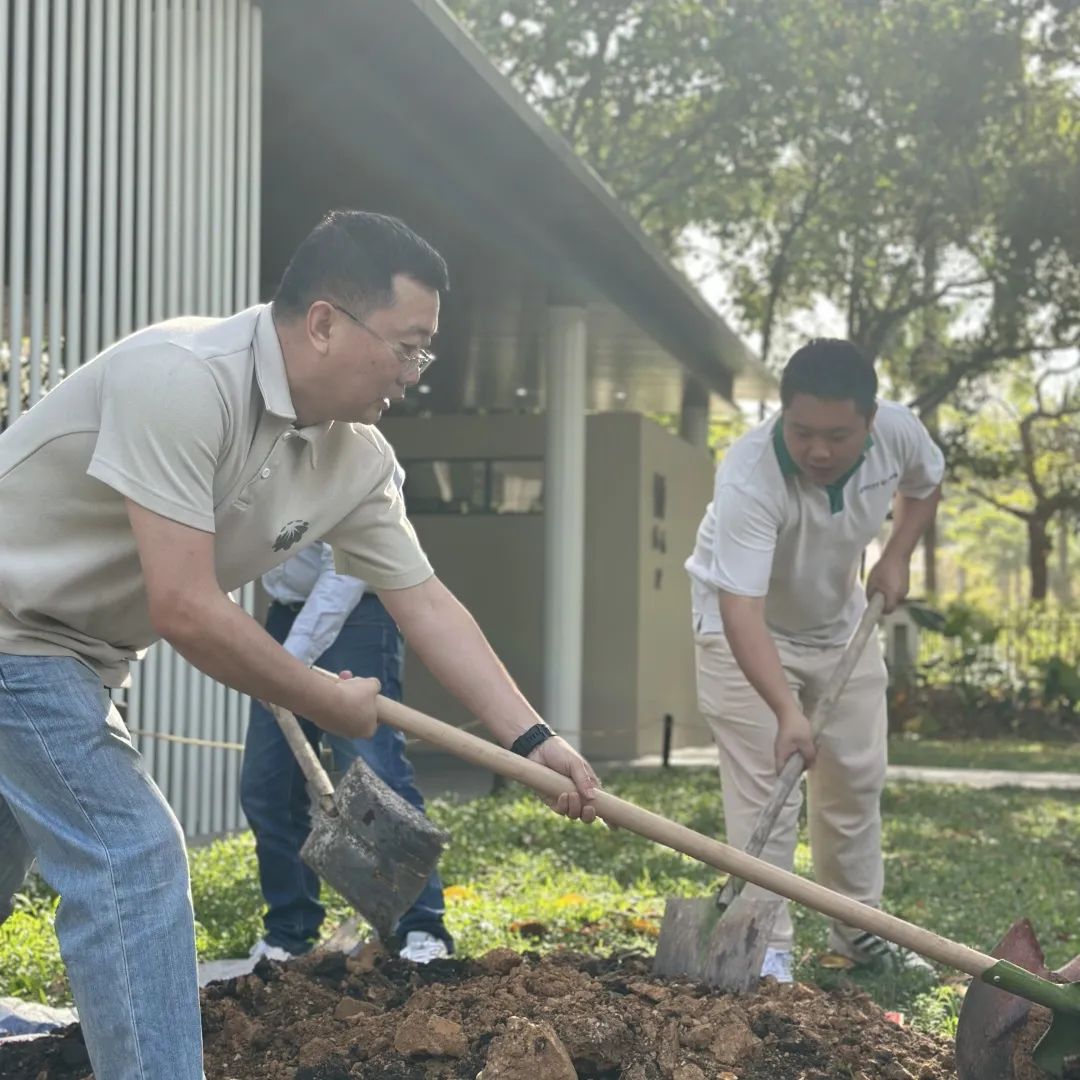 携手添绿！荔枝公园公益植树活动圆满举行