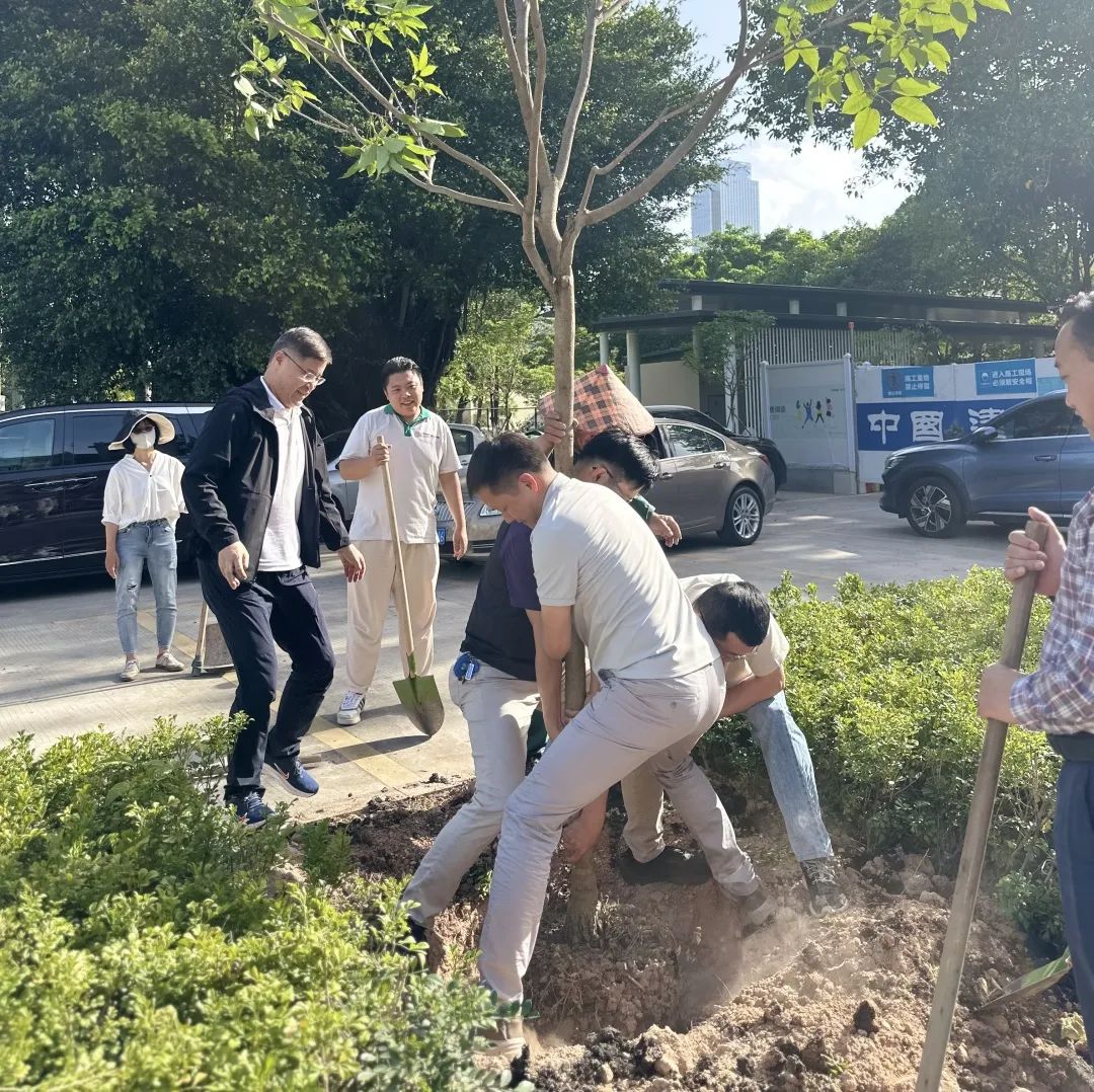 携手添绿！荔枝公园公益植树活动圆满举行