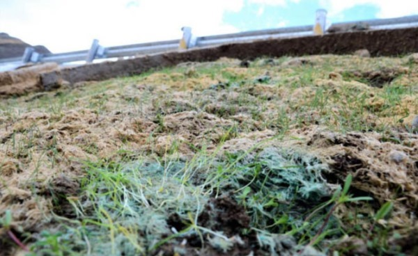 矿山及边坡生态修复