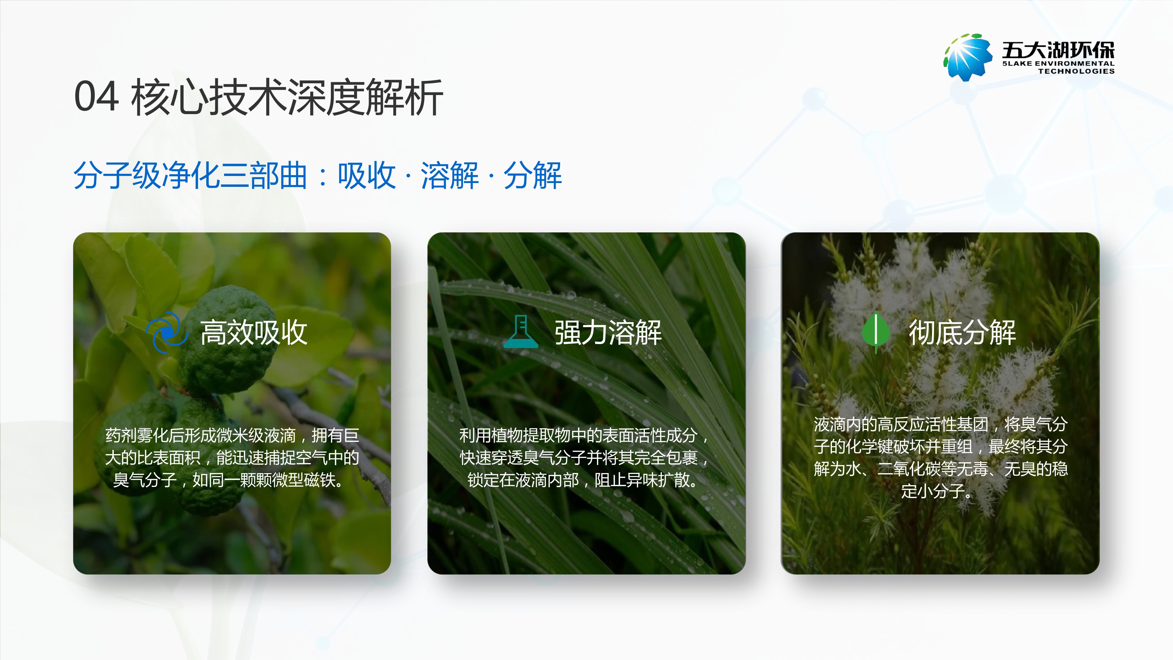 5LAKE植物除臭剂