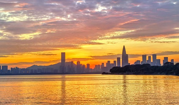 国务院关于印发《固体废物综合治理行动计划》的通知