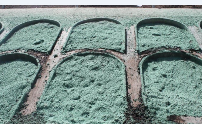 西藏米拉山边坡修复项目