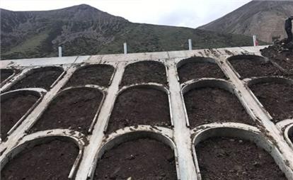 西藏米拉山边坡修复项目