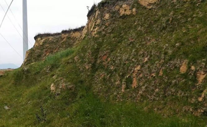 贵州贵阳花溪支顶风力发电厂山体斜坡覆绿工程