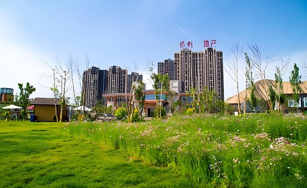 兰州保利地产－领秀山边坡表层植被恢复项目