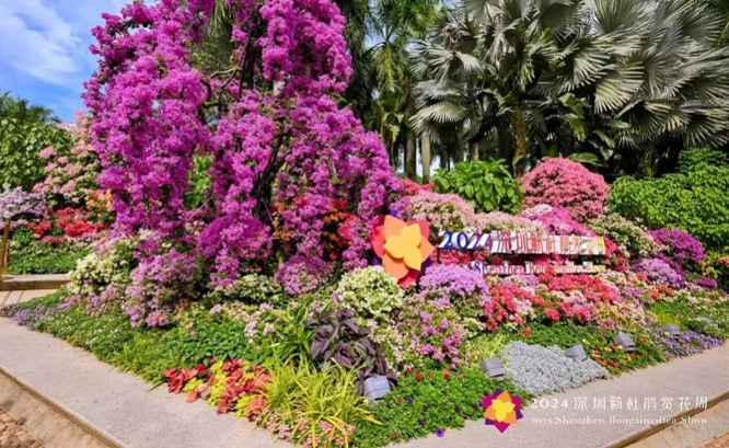 2024深圳莲花山公园簕杜鹃花展移动公厕服务